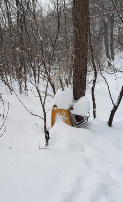 Wheelbarrow covered in snow – waiting for Spring time